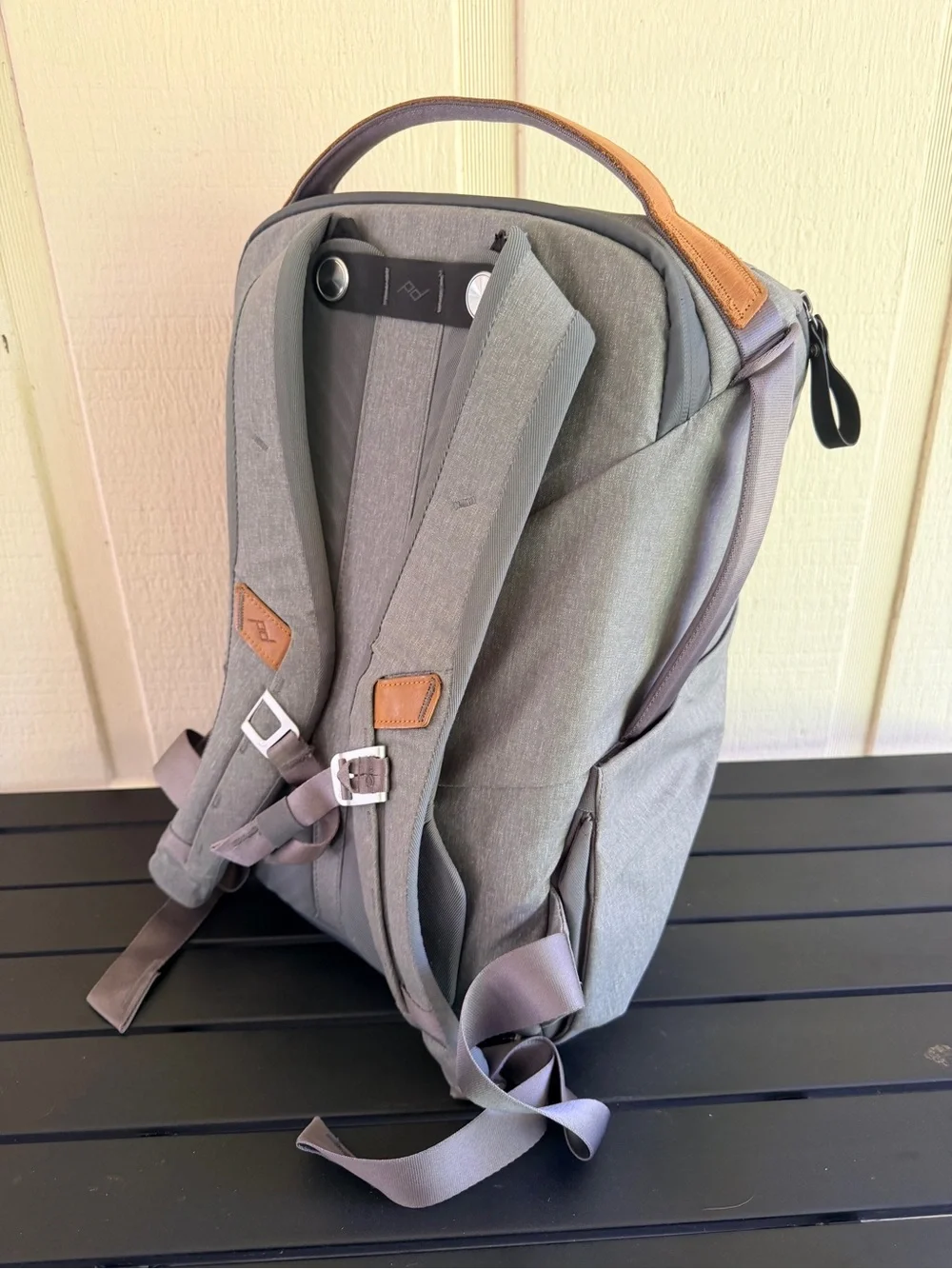 Peak Design Everyday Backpack 20L V2 Ash Camera Bag